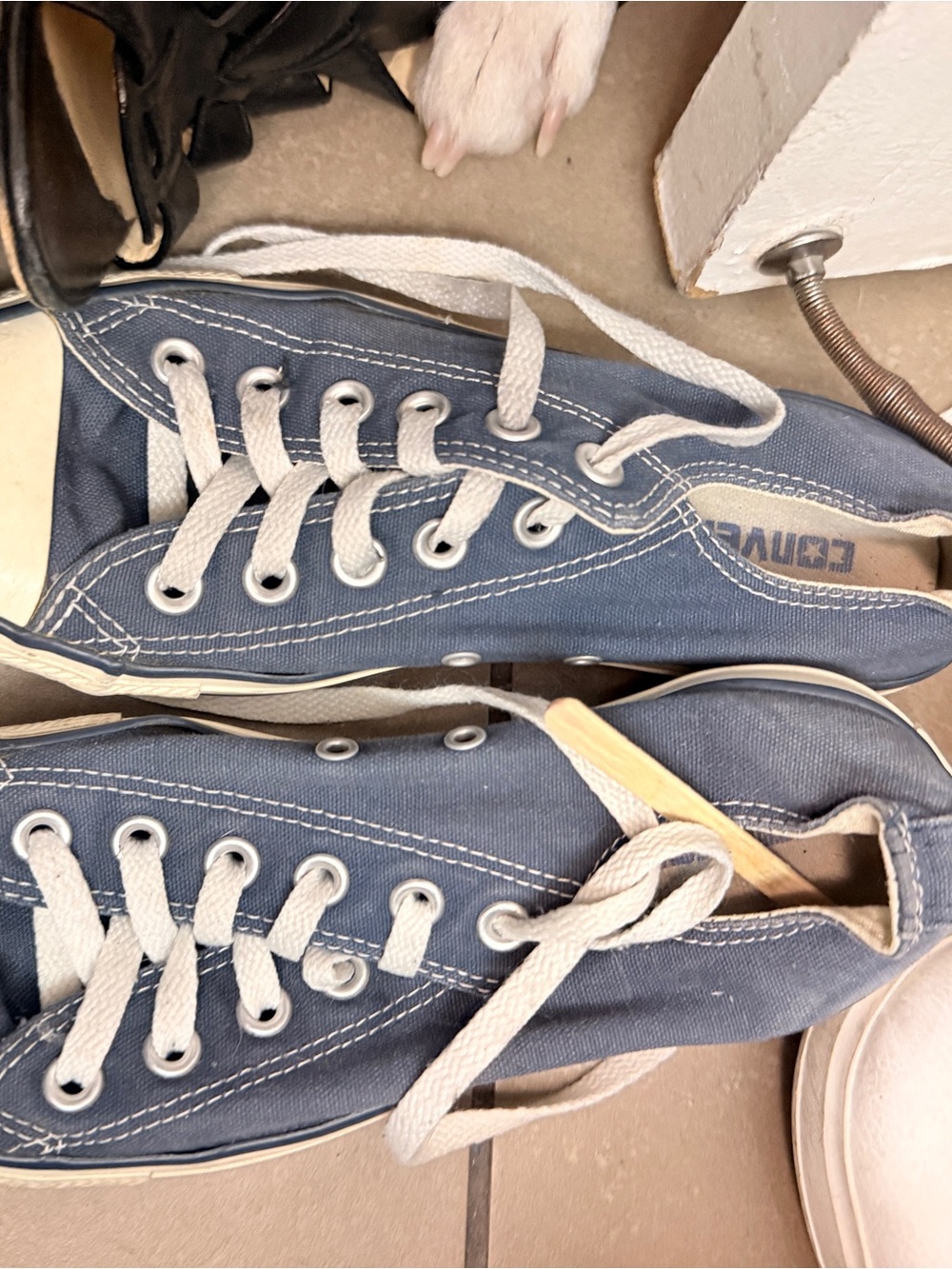 Converse Low-Top Canvas Sneakers in Navy Blue with White Laces